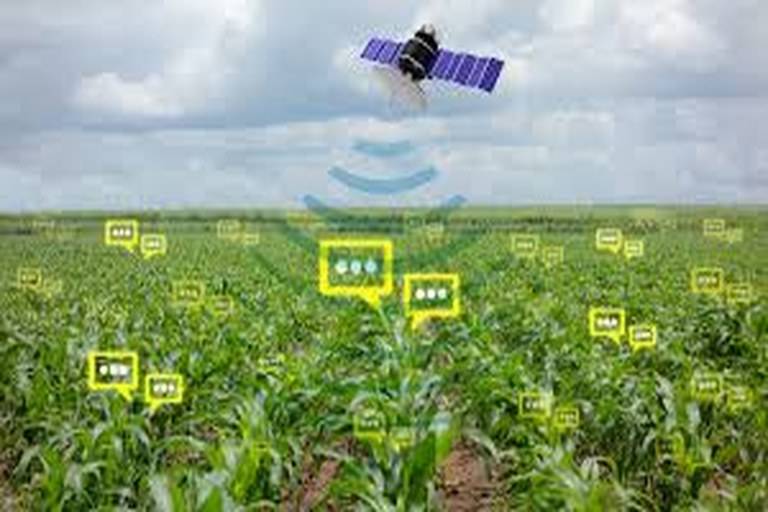 Edmonton Startup Develops AI Tool to Help Farmers Optimize Crops